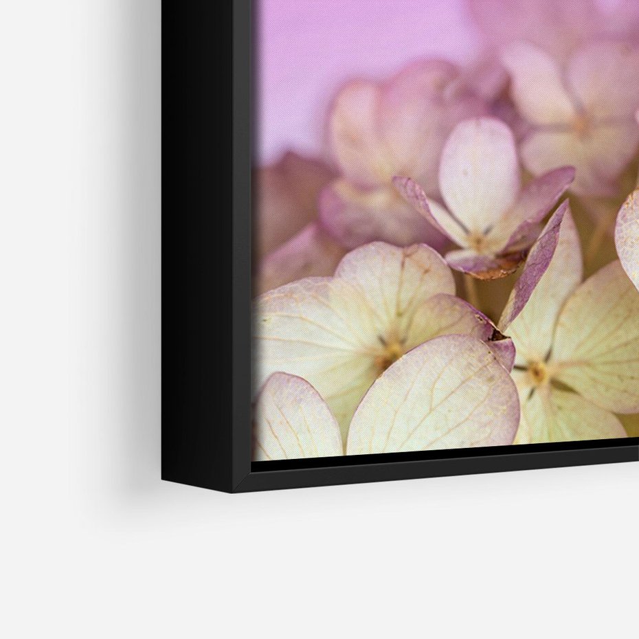 Obraz w ramie 70x100 - Kwiatowa Uroda - kwiaty, hortensje - rama czarna