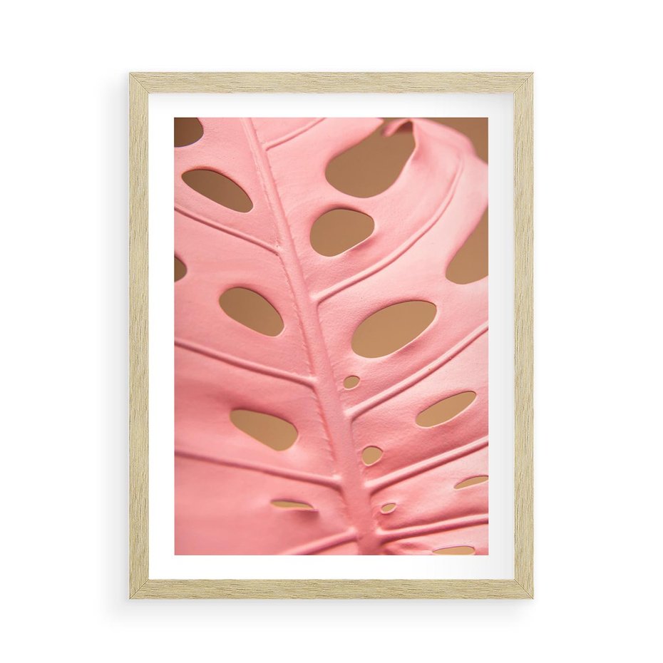 Plakat w ramie 50x70 - Różowa monstera w pełnym rozkwicie - różowa, monstera - rama drewno