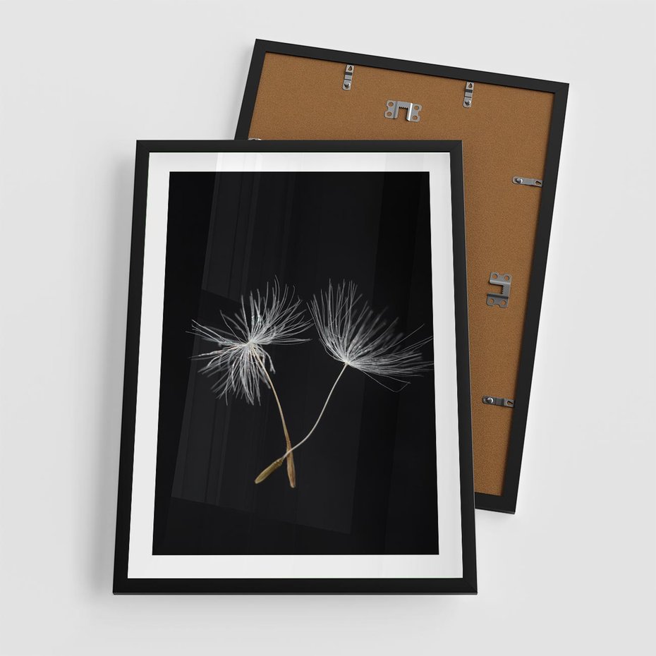 Plakat w ramie 50x70 - Delikatność Wiatru - dmuchawce, makro - rama czarna