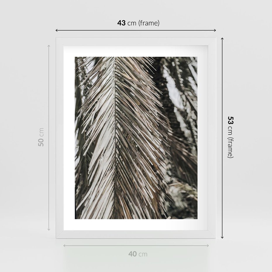 Plakat w ramie 40x50 - Egzotyczne Gałęzie - suche gałęzie, liście palmy - rama biała