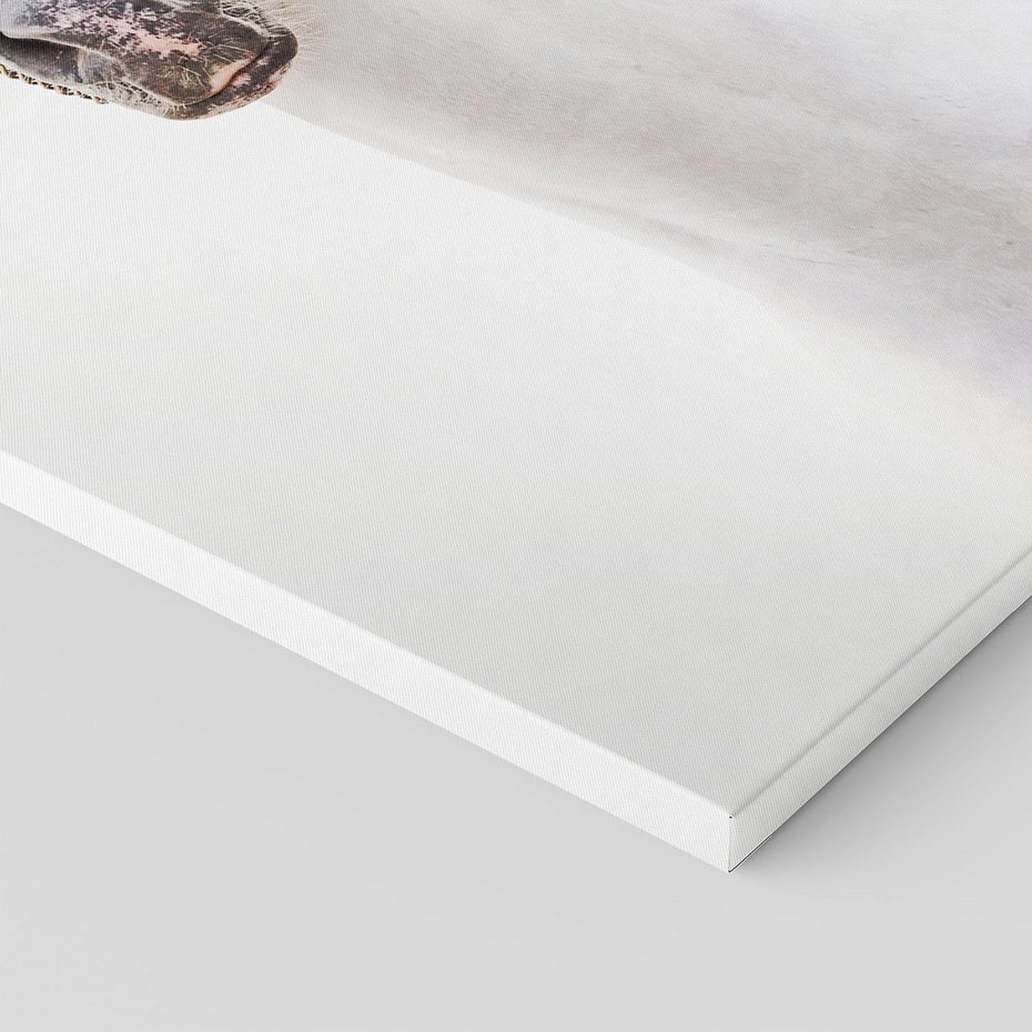 Obraz na płótnie 80x120 - Elegancja białego konia - biały, koń