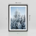 Plakat w ramie 50x70 - Magia Śnieżnych Drzew - zima, iglaste drzewa - rama czarna