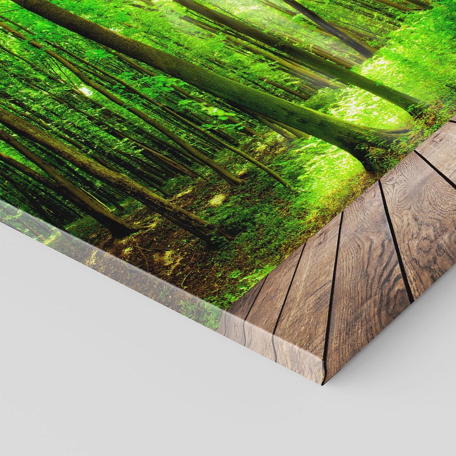 Obraz na płótnie 80x80 - Spacer po urokliwej dróżce w lesie - las, dróżka