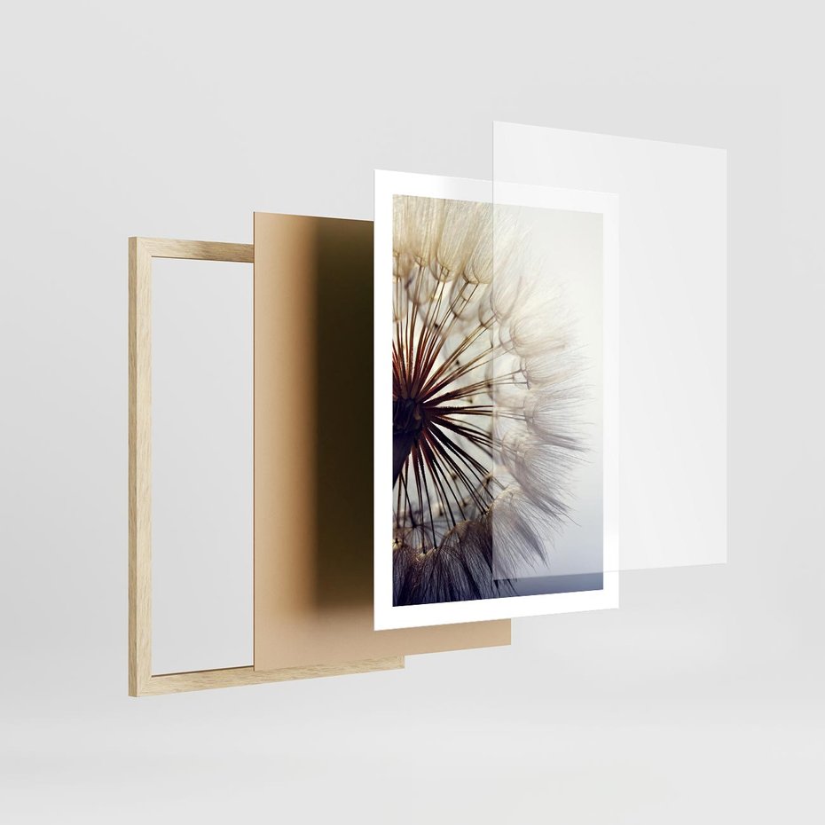 Plakat w ramie 50x70 - Makro piękno dmuchawca - makro, dmuchawiec - rama drewno