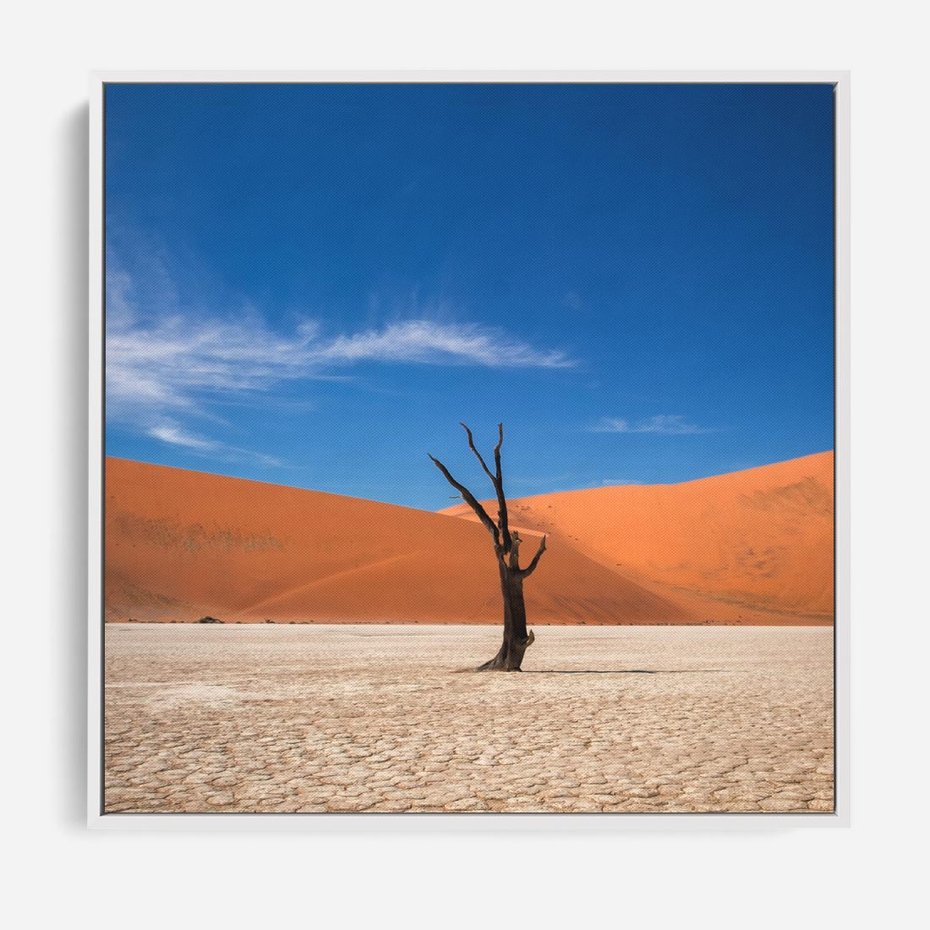 Obraz w ramie 80x80 - Słońce i Suche Drzewo - pustynia, suche - rama biała