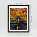 Plakat w ramie 40x50 - Droga przez jesienny las - droga, las - rama czarna
