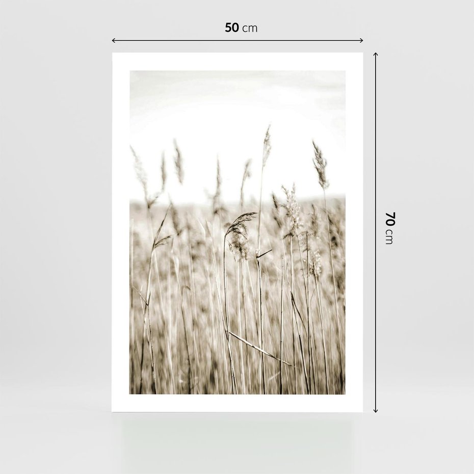 Plakat bez ramy 50x70 - Nostalgiczny Pejzaż - suche trawy, pole