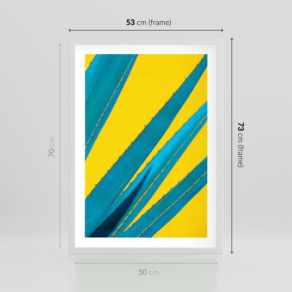 Plakat w ramie 50x70 - Świeżość Natury - aloes, liście - rama biała