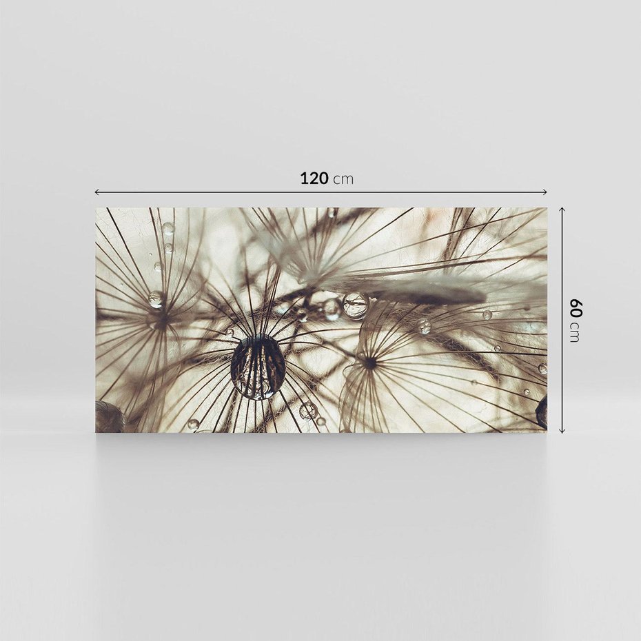 Obraz na płótnie 120x60 - Lekkie dmuchawce - dmuchawce, krople