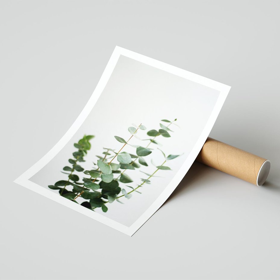 Plakat bez ramy 21x30 - Żywa eukaliptusowa zieleń - eukaliptus, zielone