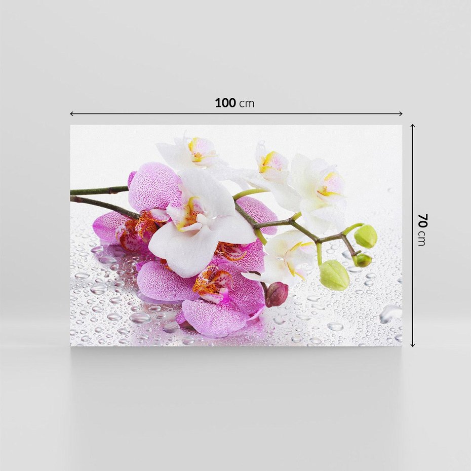 Obraz na płótnie 100x70 - Magia kwiatów - kwiaty