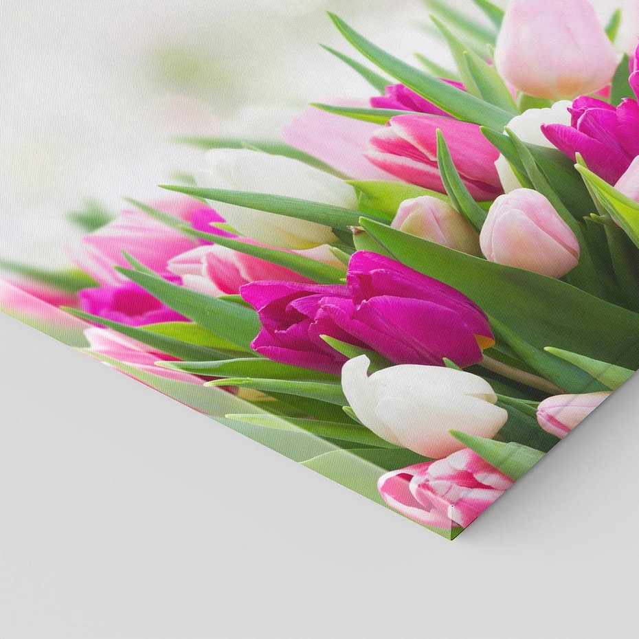 Obraz na płótnie 70x70 - Tulipany w pełnym rozkwicie - tulipany, kwiaty