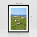 Plakat w ramie 30x40 - Górskie Owce - góry, owce - rama czarna