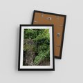 Plakat w ramie 30x40 - Żywiołowa Zieleń - mur, liście - rama czarna