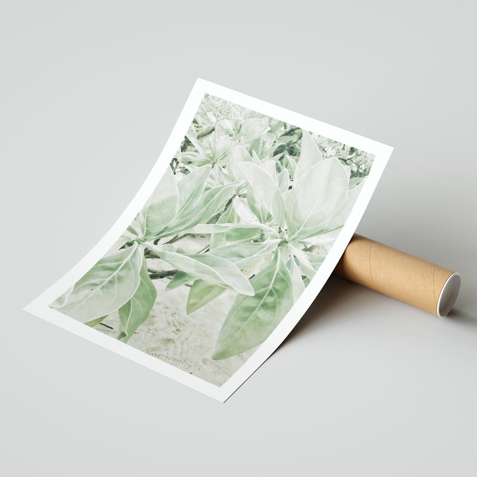 Plakat bez ramy 50x70 - Jasnozielone Liście w Kompozycji - liście, jasna zieleń