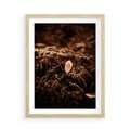 Plakat w ramie 50x70 - Gałęzie i Liść w Brązowej Tonacji - suche gałęzie, liść - rama drewno