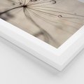 Plakat w ramie 40x50 - Makro Uroda: Kropla na Dmuchawcu - zbliżenie makro, kropla wody na ziarenku dmuchawca - rama biała