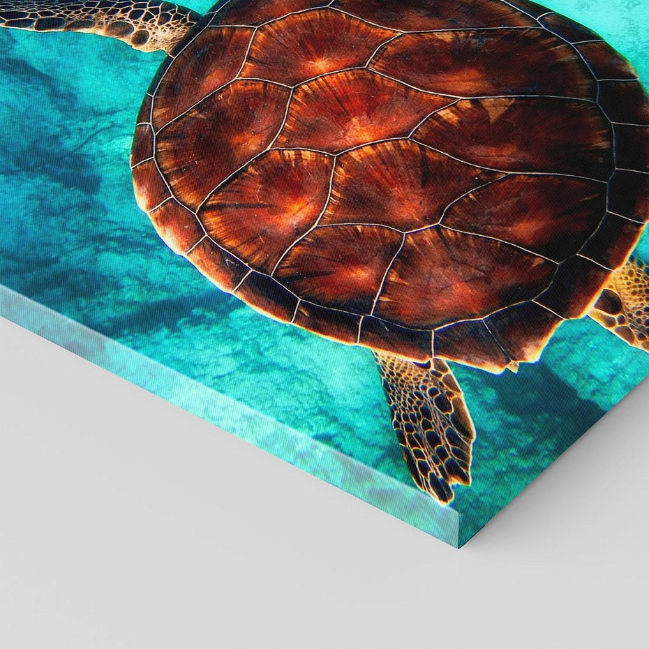 Obraz na płótnie 80x80 - Morze, fale i skały - żółw, morze