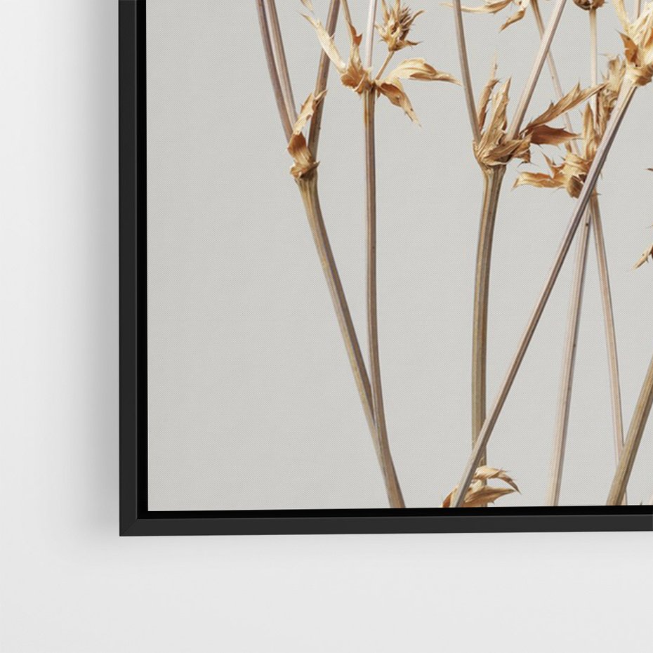 Obraz w ramie 70x100 - Delikatne gipsówki - gipsówka, suche - rama czarna