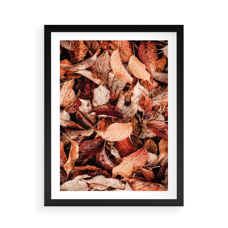 Plakat w ramie 50x70 - Magia Jesiennej Ziemi - liście, jesień - rama czarna
