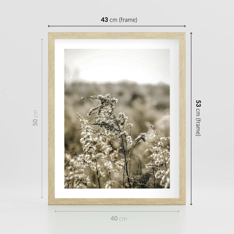 Plakat w ramie 40x50 - Pampas i Bocho - suche trawy, bocho - rama drewno