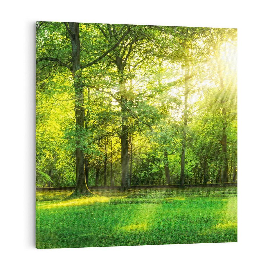 Obraz na płótnie 70x70 - Moc lasu - las, drzewa