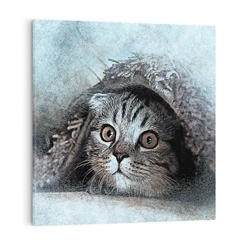 Obraz na płótnie 40x40 - Kot w abstrakcyjnym otoczeniu - kot, sztuka