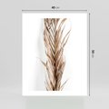 Plakat bez ramy 40x50 - Minimalizm Palmowy: Sucha Uroda - sucha palma, minimalizm