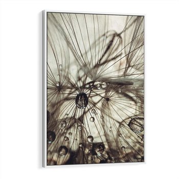 Obraz w ramie 70x100 - Lekkie dmuchawce - dmuchawce, krople - rama biała