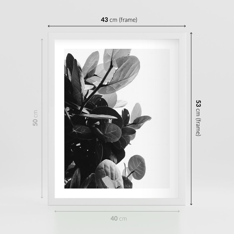 Plakat w ramie 40x50 - Blisko Natury - liście, rośliny tropikalne - rama biała