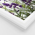 Plakat w ramie 30x40 - Fioletowa harmonia lawendy - lawenda, fiolet - rama biała