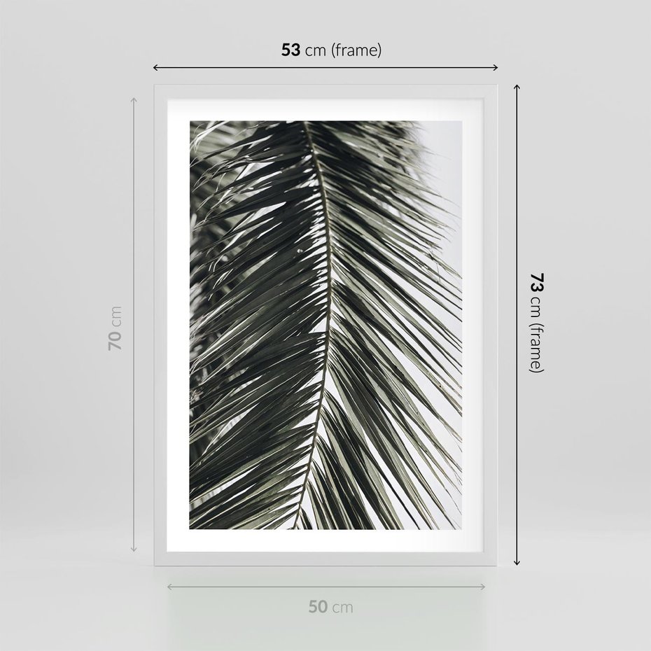 Plakat w ramie 50x70 - Liść Palmy: Egzotyczny Detal Natury - palma, liść palmy - rama biała
