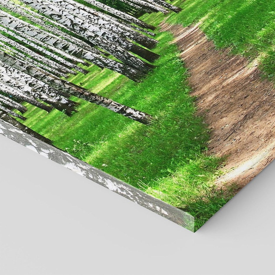 Obraz na płótnie 50x70 - Bajkowy las pełen brzóz - las, brzozy