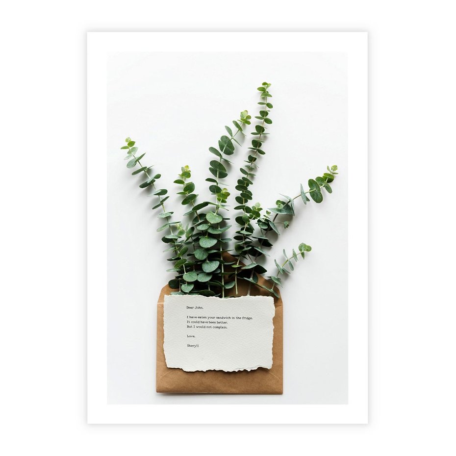 Plakat bez ramy 40x50 - Eukaliptusowa harmonia - eukaliptus, liście