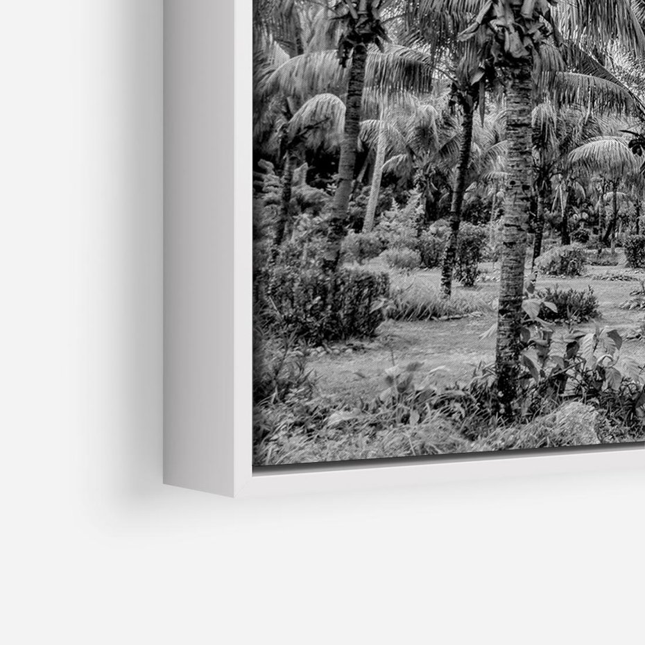 Obraz w ramie 120x80 - Mroczna Ścieżka Tropików - czarno biała fotografia, ścieżka pośród palm - rama biała