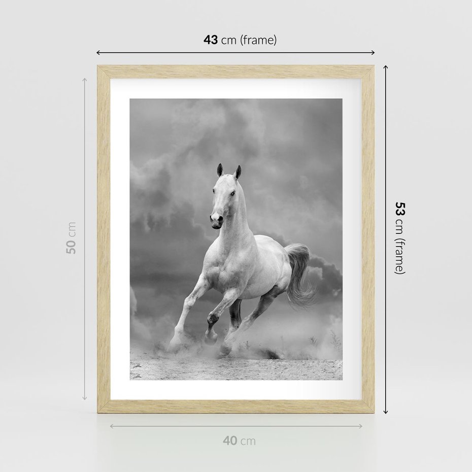 Plakat w ramie 40x50 - Elegancja w Czarno-Białym - koń, biało - rama drewno