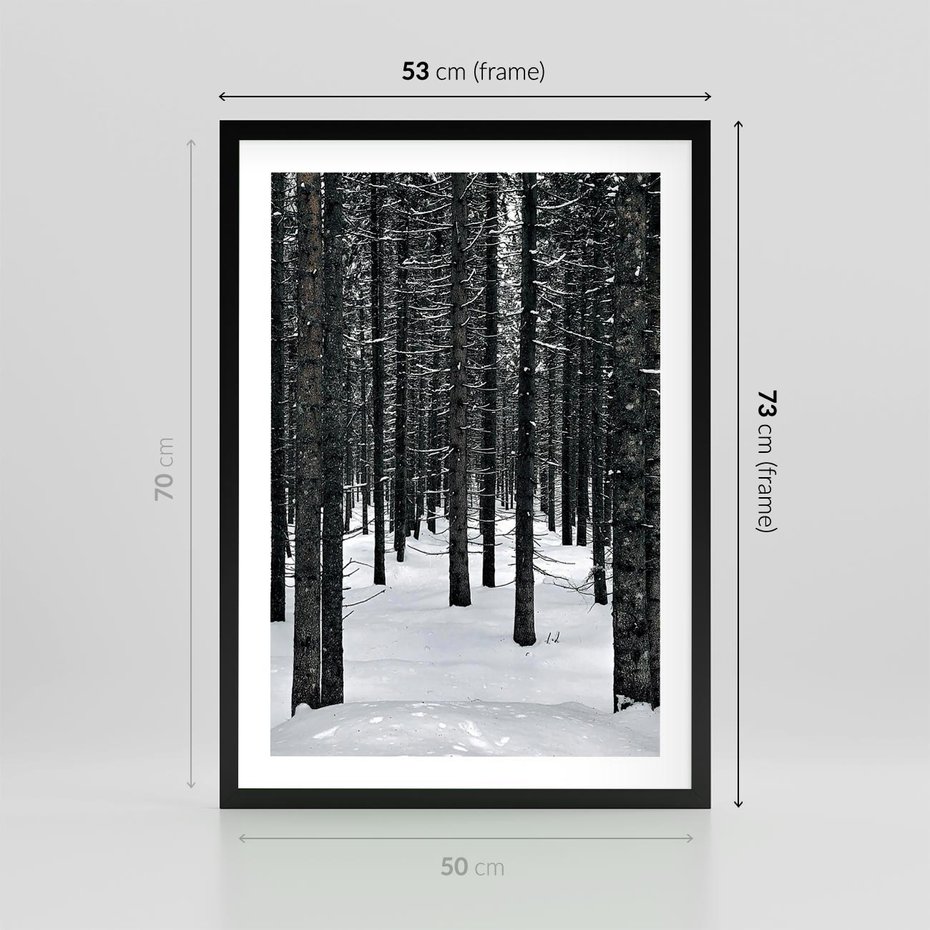 Plakat w ramie 50x70 - Zimowe Drzewa: Śnieg na Pniach - drzew w zimi, pnie drzew - rama czarna
