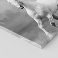 Obraz na płótnie 30x30 - Elegancja w Czarno-Białym - koń, biało
