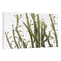Obraz na płótnie 120x80 - Ekskluzywna Roślinność - kaktusy, liście