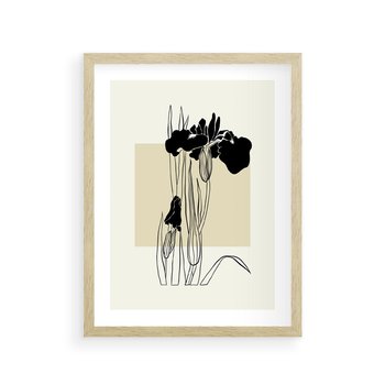 Plakat w ramie 40x50 - Rozkwitające w konturach - irys, kwiaty - rama drewno