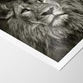 Plakat bez ramy 21x30 - Moc lewego spojrzenia - lew, czarno
