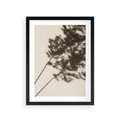 Plakat w ramie 30x40 - Tajemniczy Cień Traw - cień traw, na ścianie - rama czarna