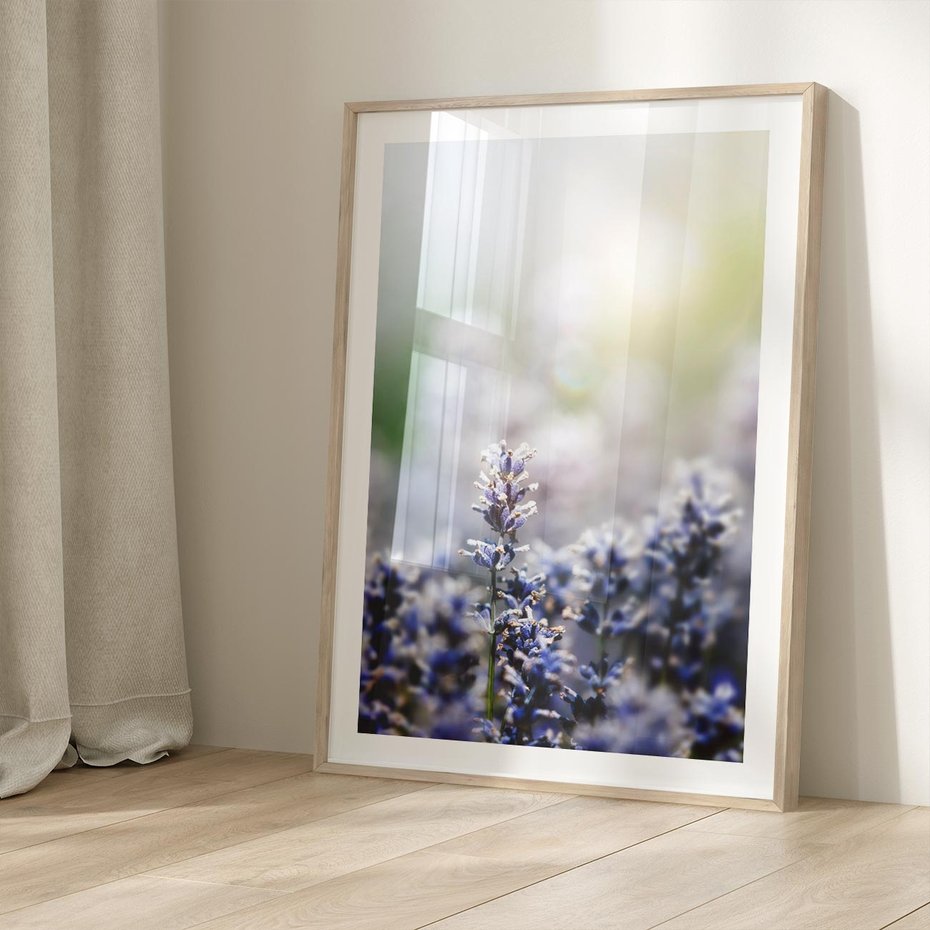 Plakat w ramie 40x50 - Delikatna Uroda Natury - wrzosy, fiolet - rama drewno
