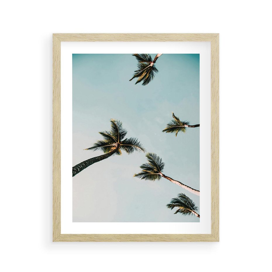 Plakat w ramie 40x50 - Palmy i Niebo - palmy, ujęcie z dołu - rama drewno