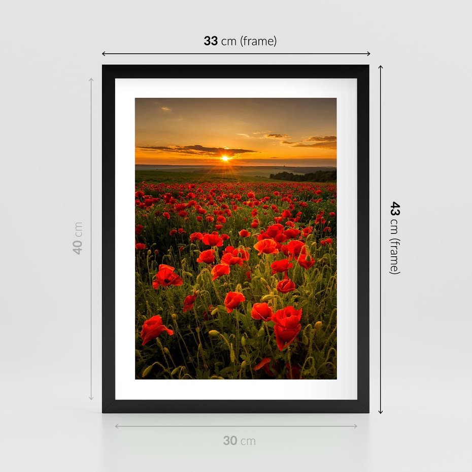 Plakat w ramie 30x40 - Maki przy zachodzie słońca - maki, zachód - rama czarna