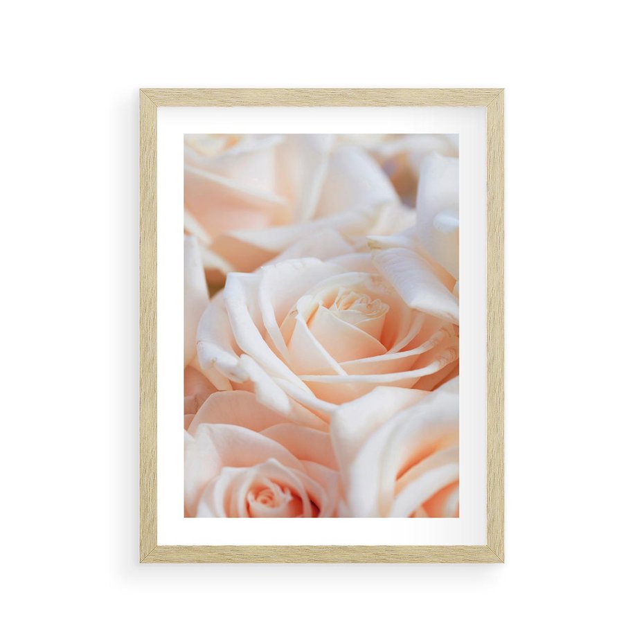 Plakat w ramie 30x40 - Aromatyczna Piękność - płatki herbacianej róży, kwiaty - rama drewno