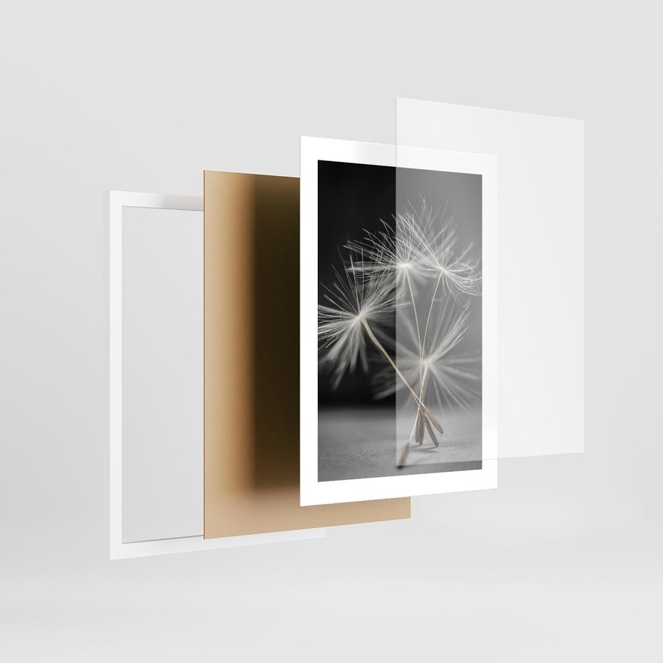 Plakat w ramie 30x40 - Delikatność dmuchawców zbliżenie - dmuchawce, zbliżenie - rama biała