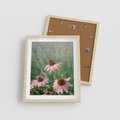 Plakat w ramie 40x50 - Natura w Pełnym Blasku - kwiaty na łące, różowe kwiaty polne - rama drewno