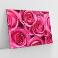 Obraz na płótnie 120x80 - Romantyczne róże w pełnym rozkwicie - róże, kwiaty