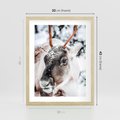Plakat w ramie 30x40 - Renifer w Zimowej Krainie - renifer, zima - rama drewno